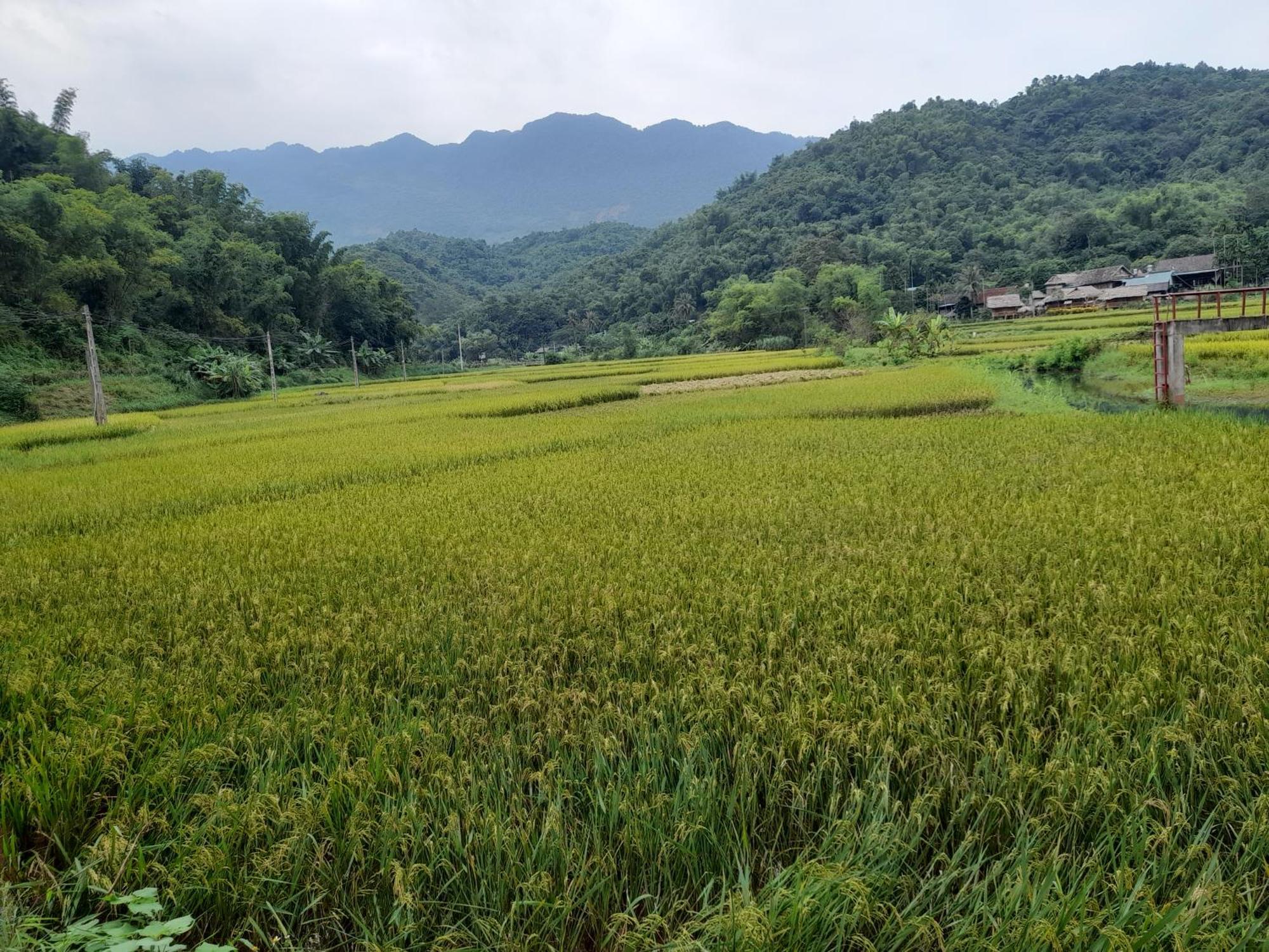 Thao Ly Homestay Mai Chau Hòa Bình Buitenkant foto
