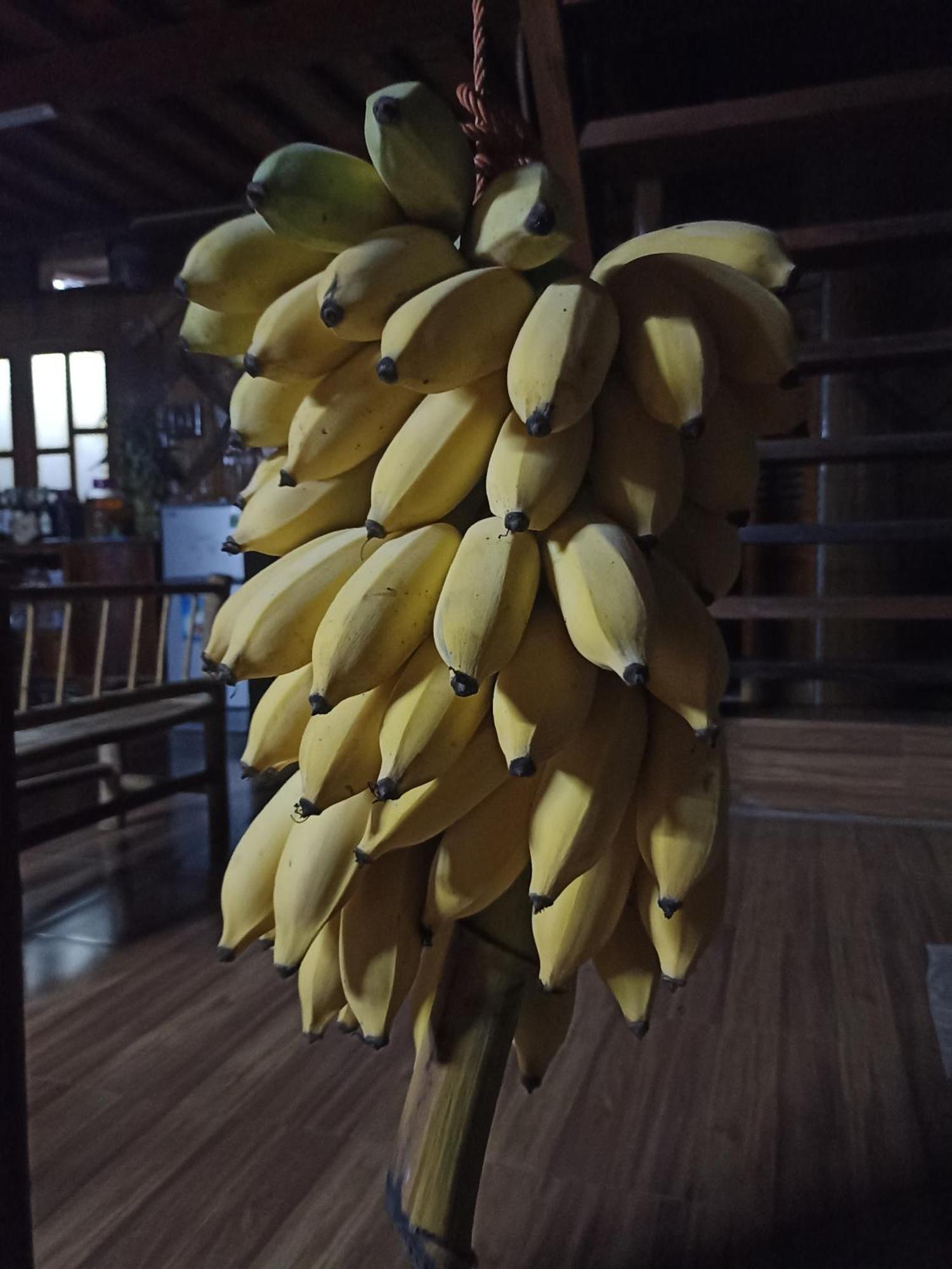 Thao Ly Homestay Mai Chau Hòa Bình Buitenkant foto
