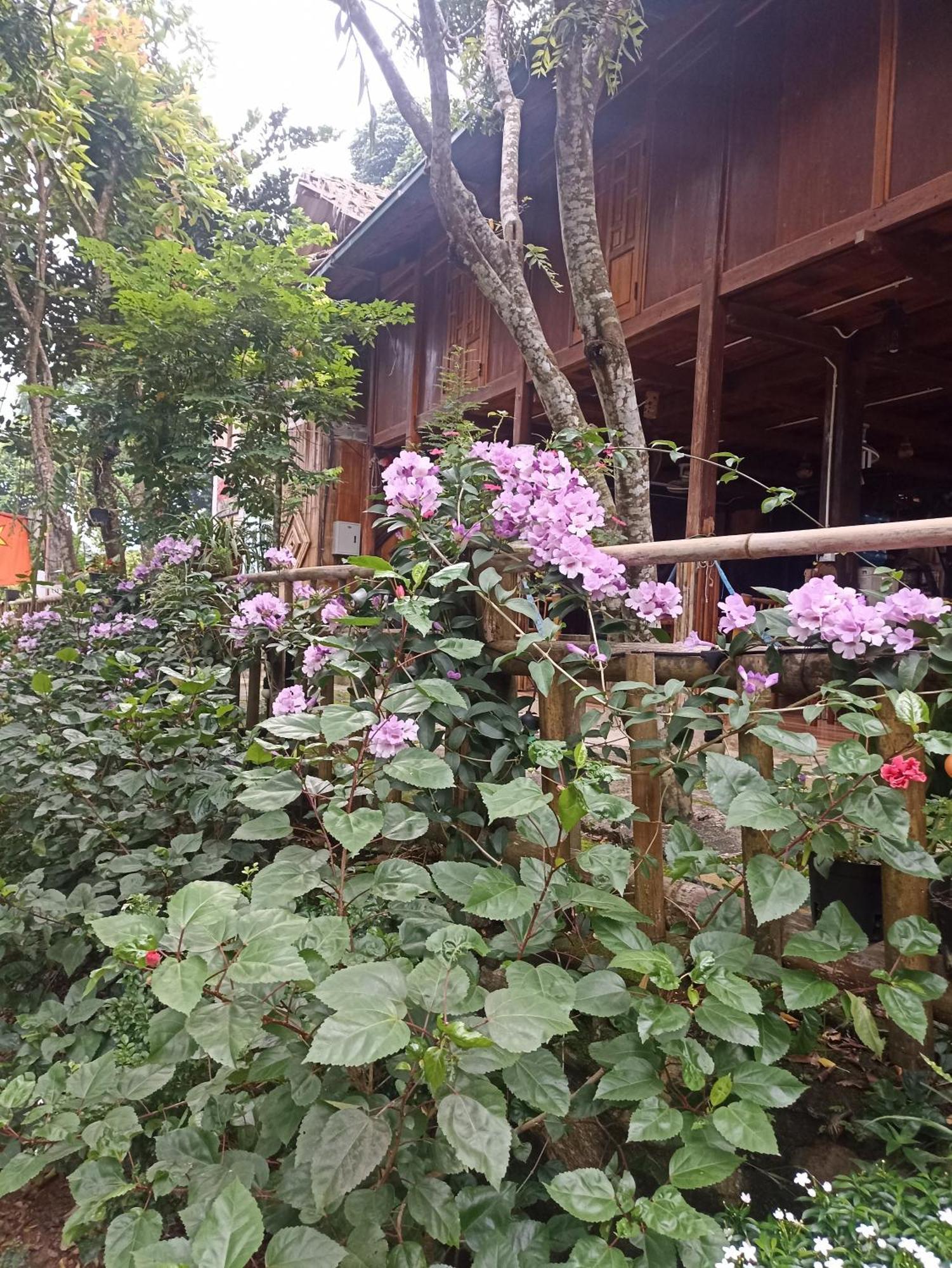 Thao Ly Homestay Mai Chau Hòa Bình Buitenkant foto