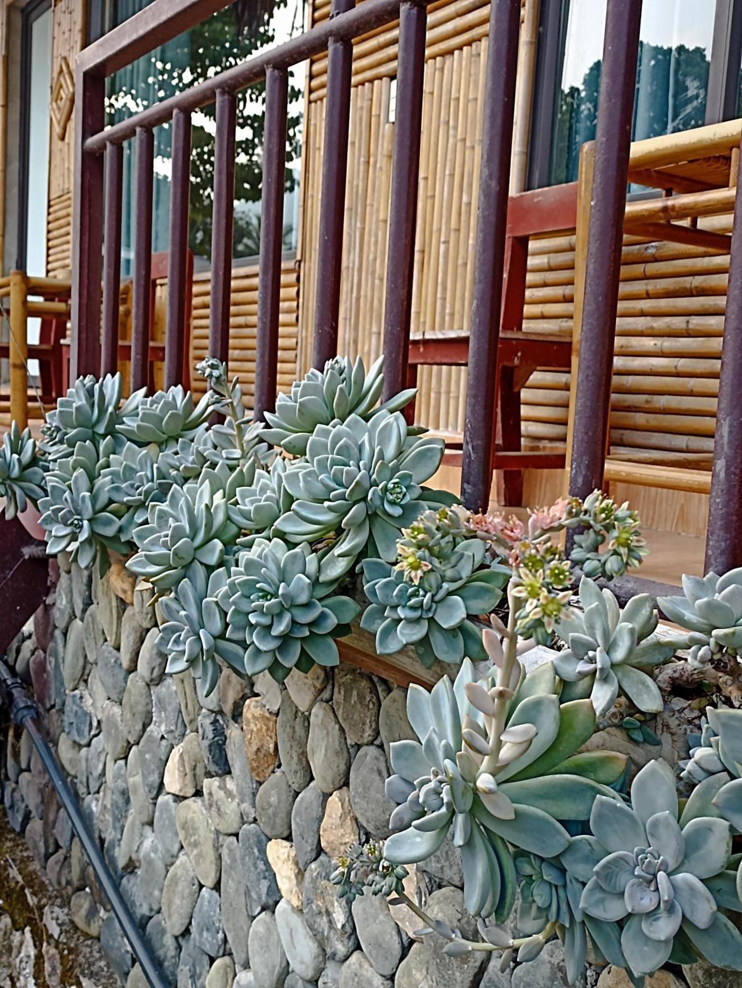 Thao Ly Homestay Mai Chau Hòa Bình Buitenkant foto